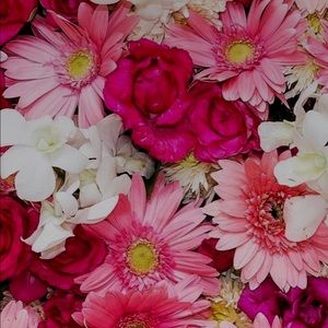 Meet your Posher, Reagan